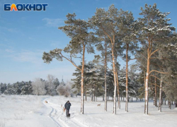 27-градусные морозы ударят по Воронежской области