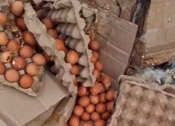 Гастрономическое ДТП: фура с яйцами и фура с макаронами перевернулись под Борисоглебском