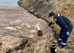 За нанесенный вред природе собственника участка обязали выплатить 5,6 млн рублей в Терновском районе 