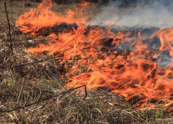 На всей территории Воронежской области установился III класс пожарной опасности