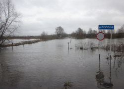 МЧС ожидает затопление мостов в Грибановском и Новохопёрском районах