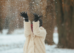 Снежный и морозный январь ожидает жителей Воронежской области 