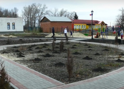 Чигорак не стал самым красивым селом Воронежской области. И в призеры Борисоглебский округ опять не попал