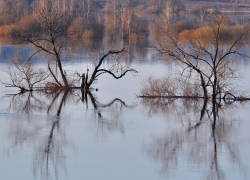 Еще один мост ушел под воду на востоке Воронежской области