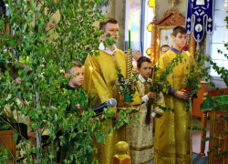 4 июня храмы Борисоглебска напоминали зеленые сады