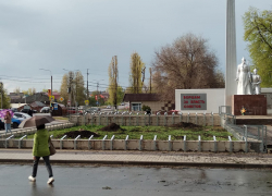 От хвойных красавиц на мемориале Борисоглебска остались одни пеньки