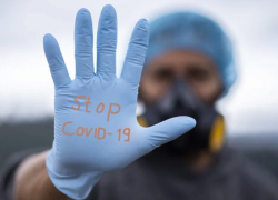 Еще 28 человек вылечили от коронавируса в Воронежской области