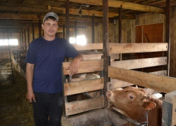 В  Воронежской области селянам возместят часть затрат на покупку животных и птицы