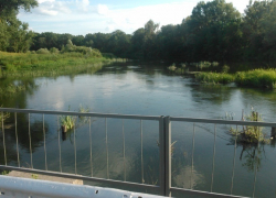 Спасатели Борисоглебска извлекли из реки тело мужчины	