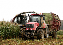 Механизатору из Грибановского района вручат благодарность от Минсельхоза