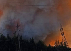 Спасатели Воронежской области готовятся к пожароопасному сезону