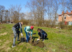 Студенты Борисоглебска посадили "деревья Победы"