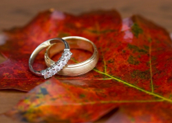 92-летний дедушка и 89-летняя бабушка стали самыми возрастными молодожёнами в Воронежской области минувшим летом