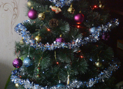 В Борисоглебске Дед Мороз ходит в каждый дом