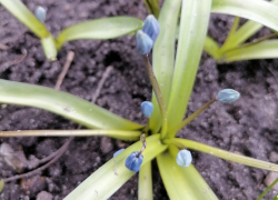 В середине недели борисоглебцев снова ждет потепление до +18 °C 