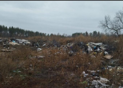 Чиновные обманщики: отдельные главы  районов  Воронежской области  предоставили  ложную информацию о ликвидации свалок