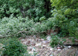 Народный репортер Борисоглебска: загаженная природа