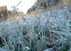 В Воронежской области объявлено штормовое предупреждение из-за заморозков