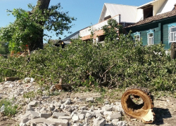 «Блокнот Борисоглебск» выяснил, сколько деревьев спилили за три года в городском округе