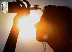 Оранжевый уровень опасности из-за жары установился в Воронежской области