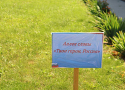 В Грибановском районе появится аллея в честь участников СВО