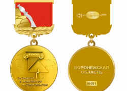 Новая награда для строителей появится в Воронежской области