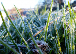 Штормовое предупреждение из-за заморозков объявили в Воронежской области