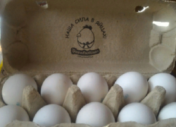 Борисоглебские Третьяки попали яйцами в международный паблик