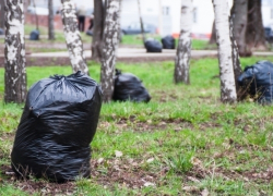 Первыми на общегородской субботник выйдут работники администрации БГО
