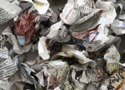 27 незаконных свалок обнаружили в Воронежской области в 2025 году