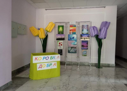 «Коробку добра» для многодетных и малоимущих семей собирают в Грибановском районе