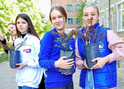 Студенты Борисоглебска посадили барбарисы в честь Дня Победы