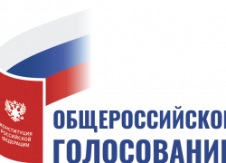 Как будет проходить первое в истории страны недельное голосование в Воронежской области