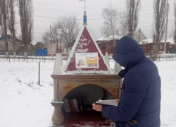 Книжный домик  в Театральном сквере Борисоглебска пополнился новыми книгами