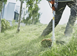 Большой  покос в Борисоглебске