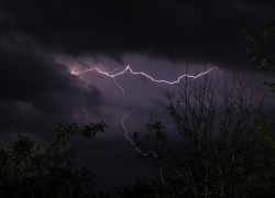 Штормовое предупреждение из-за гроз и ветра объявили в Воронежской области
