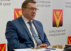 Александру Леонову поставили четверку с плюсом за руководство Борисоглебским округом в прошлом году