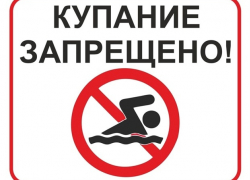 В пруду Грибановского района обнаружен возбудитель холеры