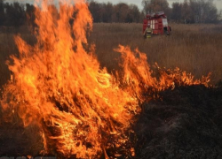 В Воронежской области за прошедшие сутки зарегистрировали 97 ландшафтных пожаров