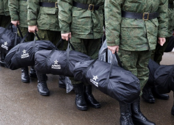 Жителей региона предупредили о фейковых сообщениях о мобилизации 