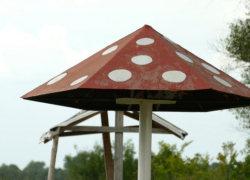 Почему единственный официальный пляж Борисоглебска не готов  к купальному сезону?