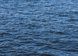 В водоёмах Воронежской области с начала года погибли 53 человека