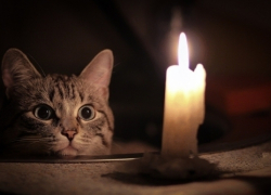 На 14 улицах  Борисоглебска отключат свет