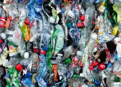 Роспотребнадзор обнаружил в Поворинском районе незаконный мусорный полигон