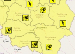 Желтый уровень опасности объявили в Воронежской области в День России