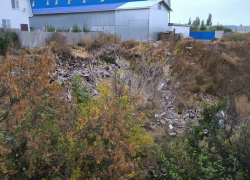 Огромную свалку обнаружили волонтеры ОНФ в центре Новохоперска
