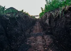 В канаве в Воронежской области нашли труп пропавшего без вести мужчины