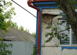«Чуть более пары десятков домов…»: губернатор – об ущербе гражданскому населению Воронежской области  после  24 июня 