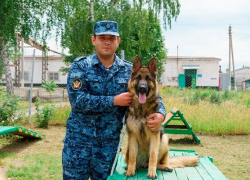 Кинолог из Борисоглебской колонии спас тонущего мужчину
