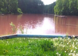 В Грибановском «красном пруду» лишней «химии» не обнаружено